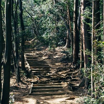 探探故事最新版下载