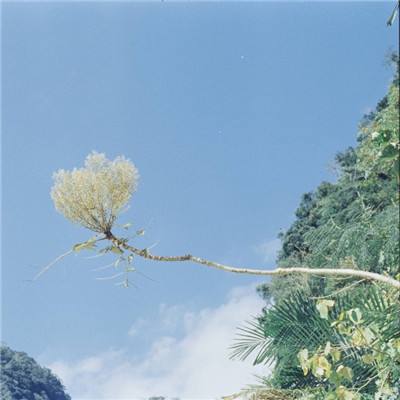 铁血群英游戏